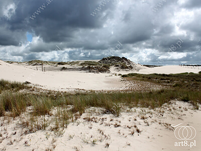 Fotografia - ''Wydmy 5'' 