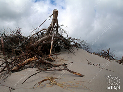 Fotografia - ''Wydmy 6'' 