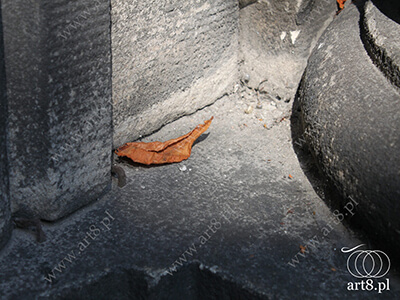 Fotografia - ''Liść 1'' 