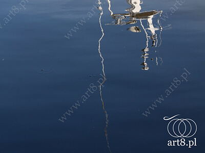 Fotografia - ''W porcie'' 