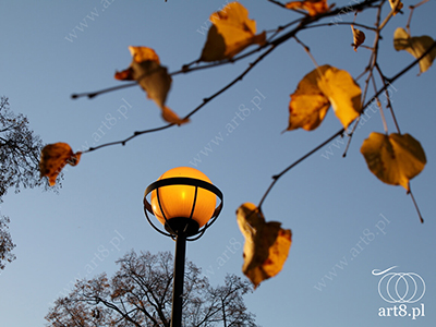 Fotografia - ''Jesień 2'' 