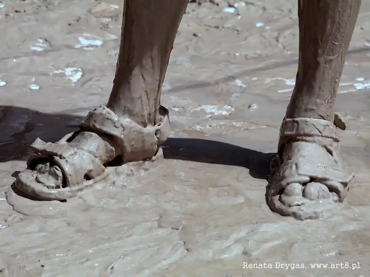 Fotografia - miasto/reportaż